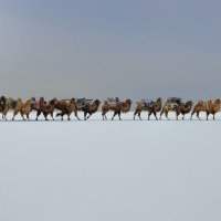 Rencontre avec Marc Progin, à l'occasion de son exposition "Sanctuary Frozen in Time", récit photographique d'une odyssée de 30,000 km à travers la Mongolie