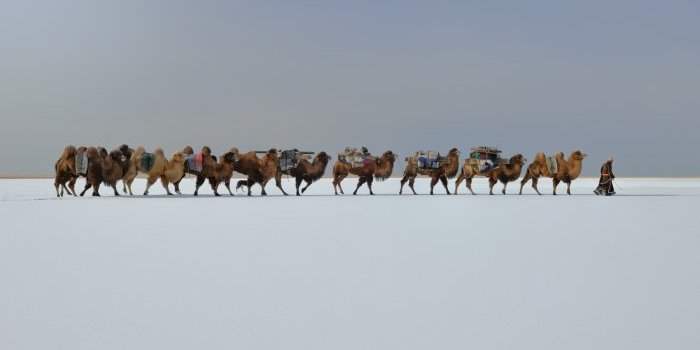 Rencontre avec Marc Progin, à l'occasion de son exposition "Sanctuary Frozen in Time", récit photographique d'une odyssée de 30,000 km à travers la Mongolie