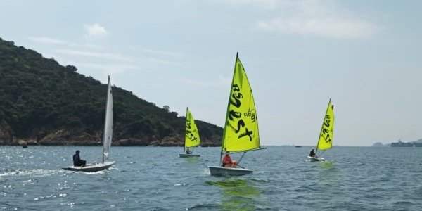 Voile