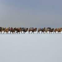 Rencontre avec Marc Progin, à l'occasion de son exposition "Sanctuary Frozen in Time", récit photographique d'une odyssée de 30,000 km à travers la Mongolie