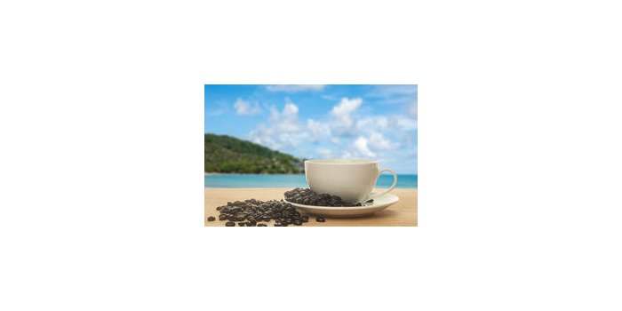 Café Accueil Repulse Bay Shouson Hill