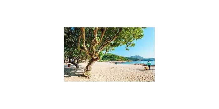 Un dimanche à la plage 