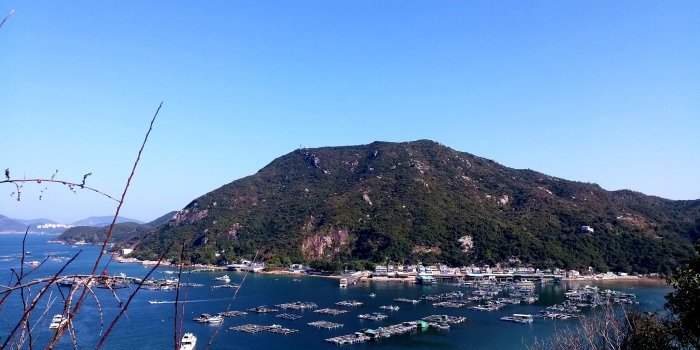 Marche : Lamma nouvelle version 