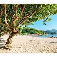 Un dimanche à la plage 