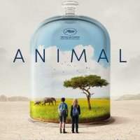 Festival cinéma français - "Animal"