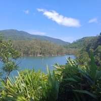 Marches rythmées du mardi : Shing Mun reservoir