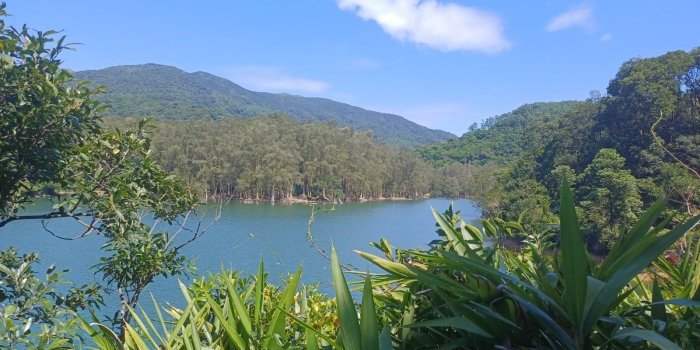 Marches rythmées du mardi : Shing Mun reservoir