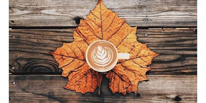 Café du Vendredi